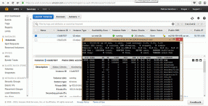 Assistenza cloud linux AWS