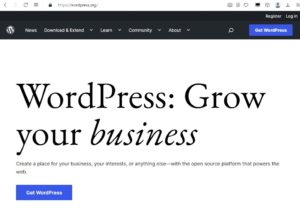 Assistenza WordPress
